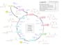do professional chemdraw structure drawing